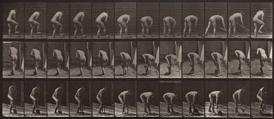 Animal Locomotion, Plate 388 by Eadweard Muybridge